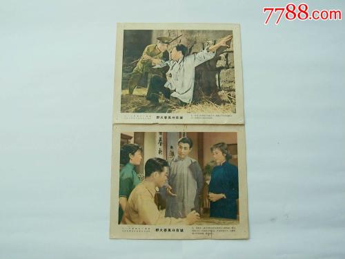 哪里能办理奥地利驾照
